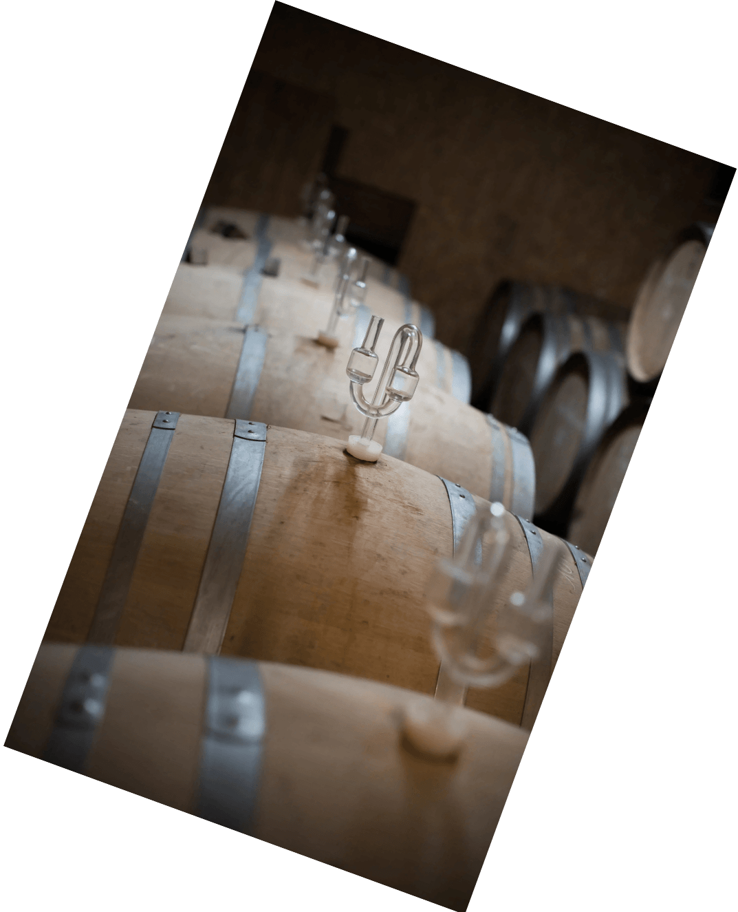 Vinification